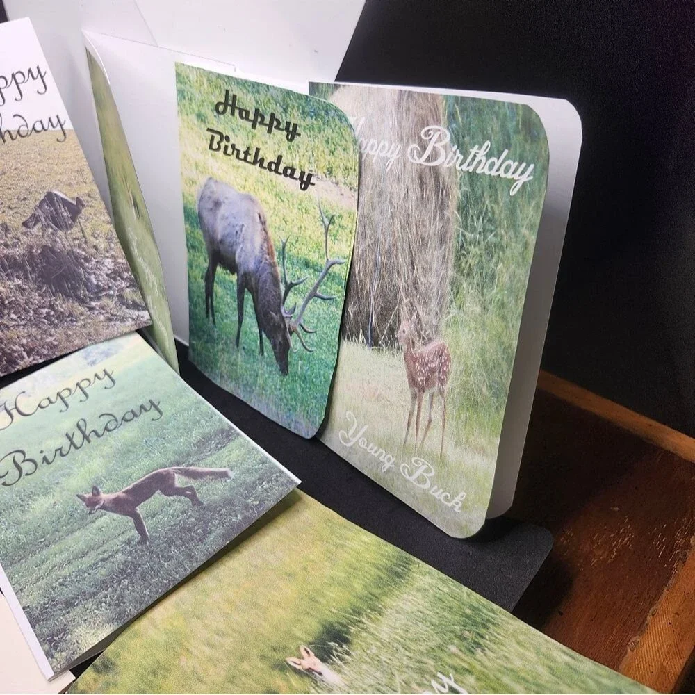 Hand Crafted Nature-Themed Birthday Cards Set Of 12